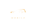R.A.S. Refined Auto Spa Mobile